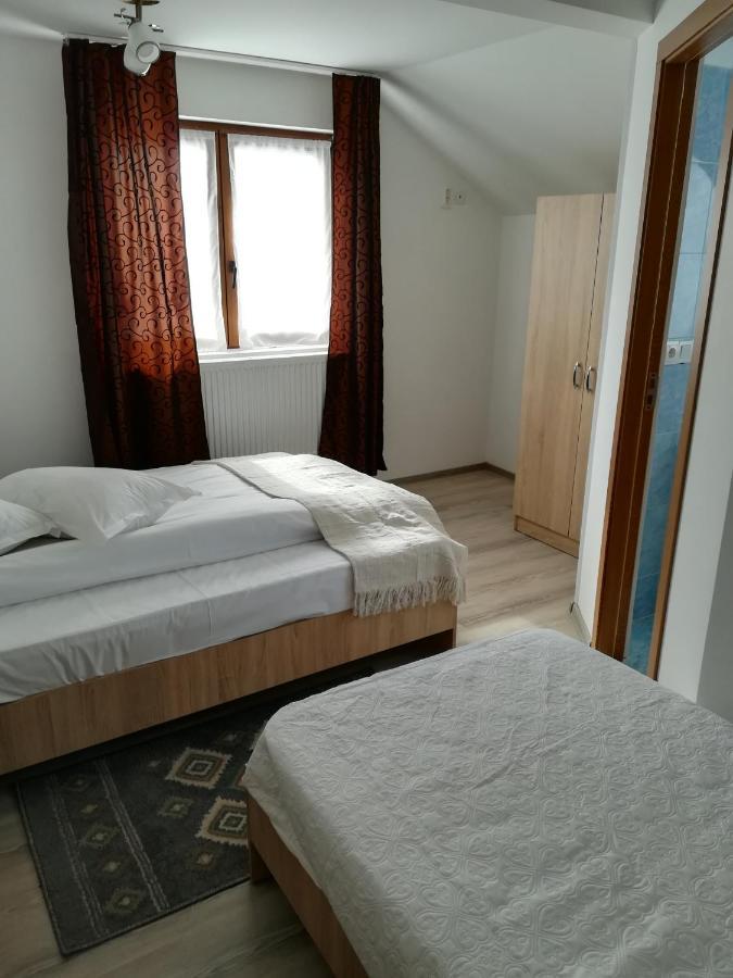 De La Mare La Munte Hotell Vatra Dornei Exteriör bild